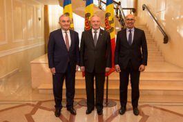 Moldovan president meets co-heads of European Action Group for Moldova