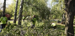 Представители Президентуры оценили ущерб, нанесенный Ботаническому саду, и определили меры по ликвидации последствий