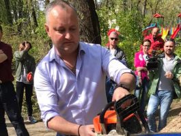 Igor Dodon, Președintele Republicii Moldova a participat la acțiunile de amenajare a teritoriului