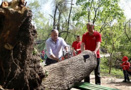 Igor Dodon, Președintele Republicii Moldova a participat la acțiunile de amenajare a teritoriului