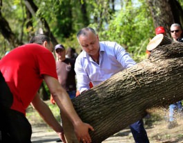 Igor Dodon, Președintele Republicii Moldova a participat la acțiunile de amenajare a teritoriului