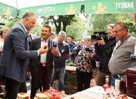 Președintele Igor Dodon a participat la Festivalul Căpșunelor și Mierii din satul Sadova