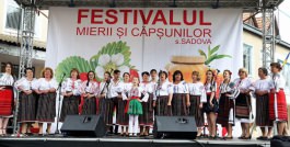 Președintele Igor Dodon a participat la Festivalul Căpșunelor și Mierii din satul Sadova