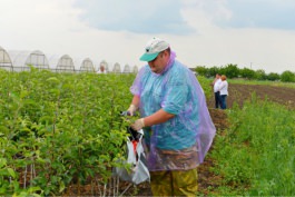 Инспекторы Россельхознадзора прибыли в Молдову в соответствии с договоренностями, достигнутыми в Москве