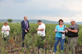 Инспекторы Россельхознадзора прибыли в Молдову в соответствии с договоренностями, достигнутыми в Москве