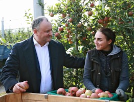 Igor Dodon a vizitat Compania „FarmProd” din satul Olănești, raionul Ștefan Vodă