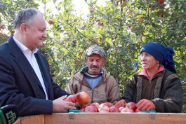 Igor Dodon visited the company "FarmProd" from the village of Olaneşti, Stefan-Voda region