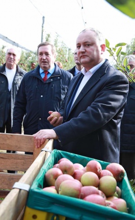 Igor Dodon visited the company "FarmProd" from the village of Olaneşti, Stefan-Voda region