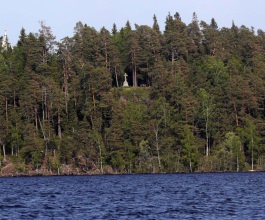 Igor Dodon a vizitat insula Valaam