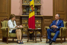 Președintele Republicii Moldova a avut o întrevedere cu Ambasadorul Extraordinar și Plenipotențiar al Regatului Suediei în țara noastră