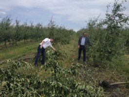 Igor Dodon proposes to the Government the creation of the commission for damages caused by bad weather