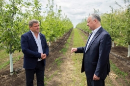 Igor Dodon s-a familiarizat cu activitatea a două întreprinderi agricole din raionul Fălești