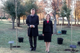 Președinții Maia Sandu și Borut Pahor au discutat cu un grup de tineri și au plantat arbori la Grădina Botanică 