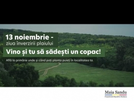 Președintele Maia Sandu îndeamnă cetățenii să participe la campania anuală de înverzire a plaiului