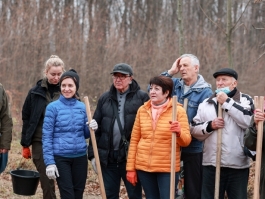 Președinta Maia Sandu a participat la Campania de înverzire a plaiului, alături de un grup de tineri și vârstnici