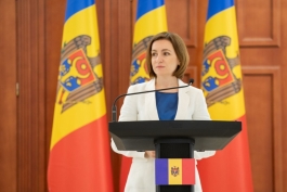 Declarația de presă a Președintei Maia Sandu după întrevederea cu Președintele Republicii Lituania, Gitanas Nauseda