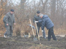 Сотрудники Администрации Президента участвовали в акции «Дерево нашего долголетия» 