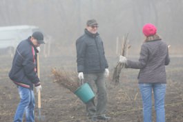 Angajații Administrației prezidențiale au participat la acţiunea „Un arbore pentru dăinuirea noastră” în cadrul Zilei Naţionale de creare a spațiilor verzi