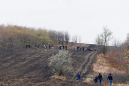 Președinta Maia Sandu a plantat copaci în apropierea comunei Răzeni, Ialoveni